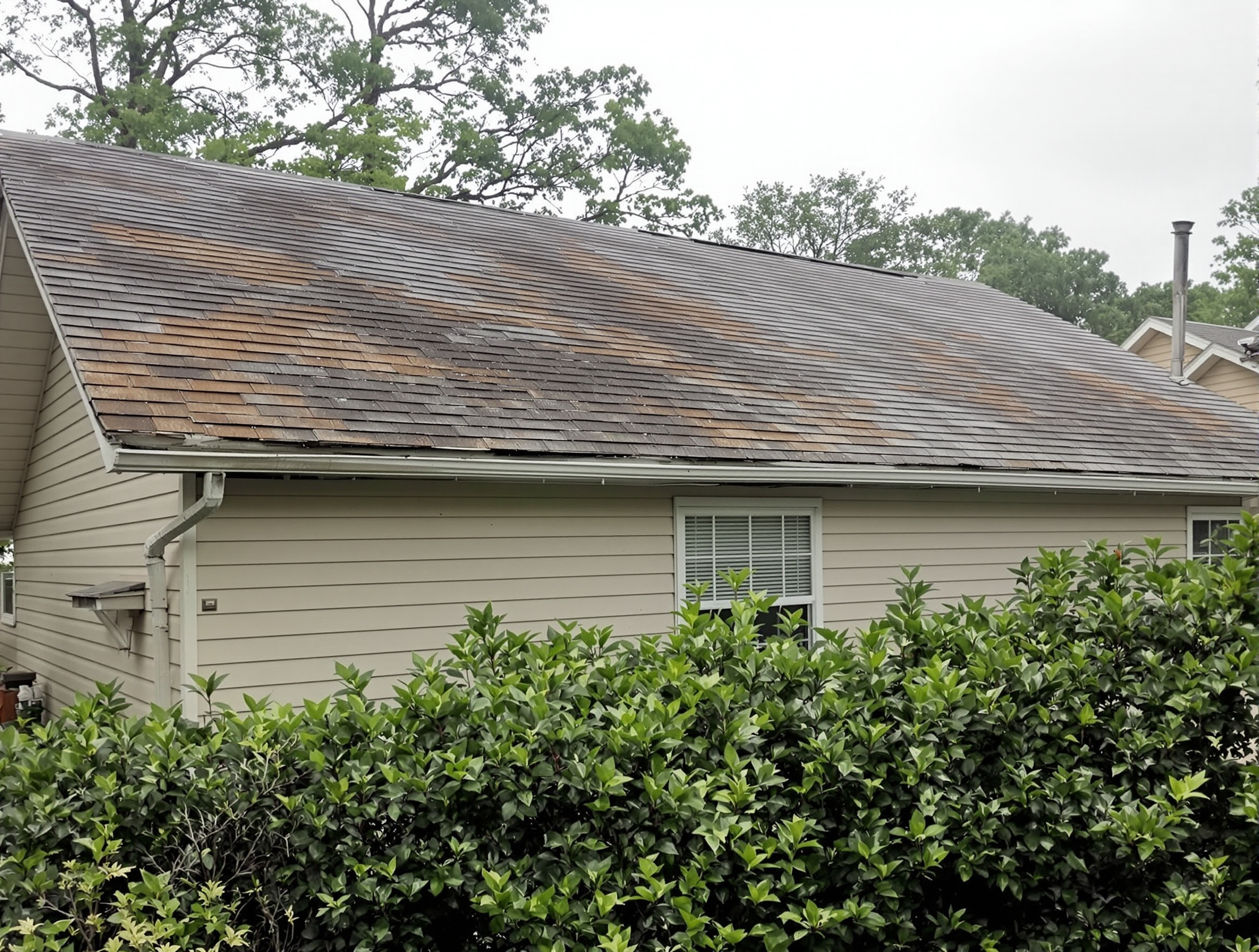 Gulf Coast home with deteriorated asphalt shingles showing curling, missing shingles, and moss growth — before metal roof replacement